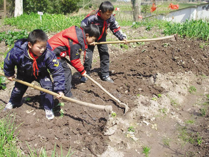 "红领巾"挥锄学种菜