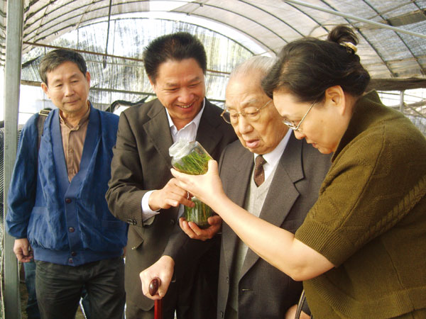 寿仙谷药业全力打造有机国药养生文化