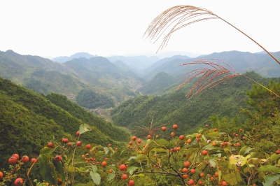 走进新宅镇茶坑村